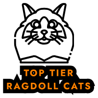 cuddleragsragdoll.com
